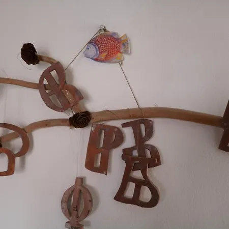 Penthouse סלצה